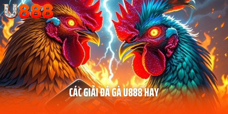 Đá Gà U888 - Nền Tảng Cá Cược Hàng Đầu Cho Các Kê Thủ 4 Các giải đá gà U888 hay