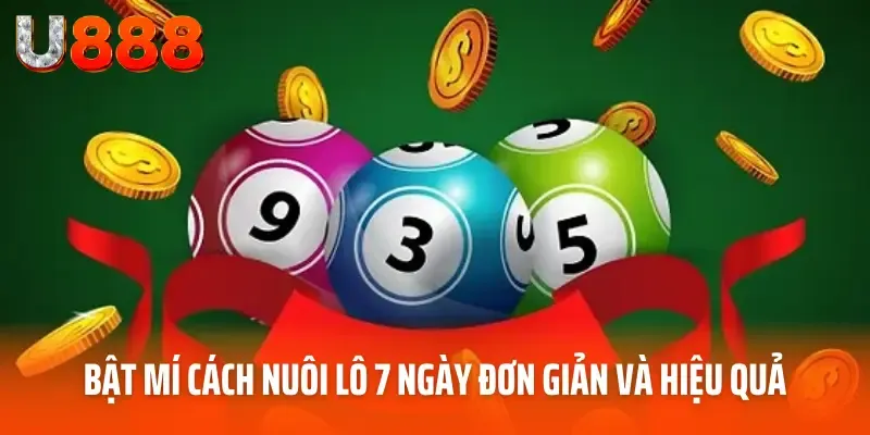 cách nuôi lô 7 ngày