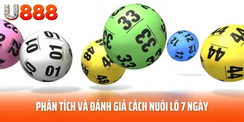 Phân tích và đánh giá cách nuôi lô 7 ngày