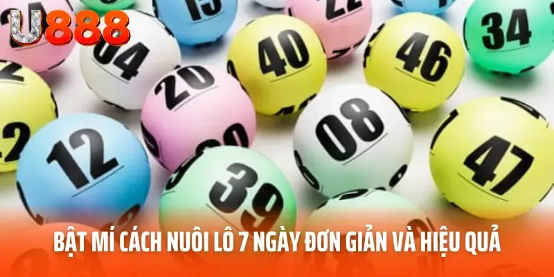 Tìm số trước khi áp dụng cách nuôi lô 7 ngày