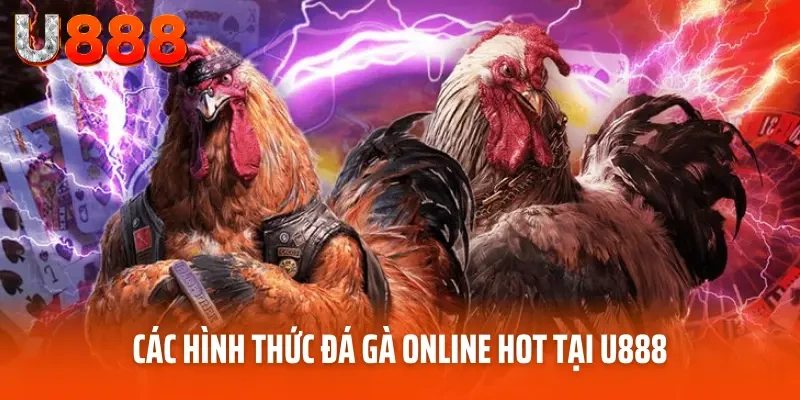Đá Gà Online - Tận Hưởng Trận Chiến Đẳng Cấp Tại U888 5 Các hình thức đá gà online hot tại U888
