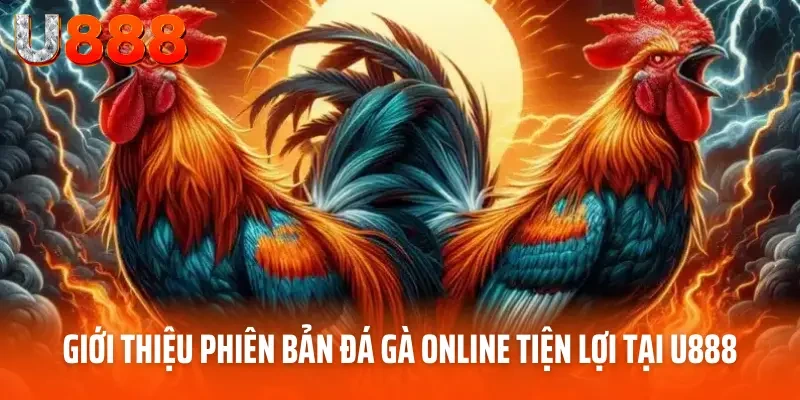 Đá Gà Online - Tận Hưởng Trận Chiến Đẳng Cấp Tại U888 2 Giới thiệu phiên bản đá gà online tiện lợi tại U888